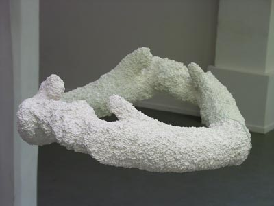 ASM1detail
